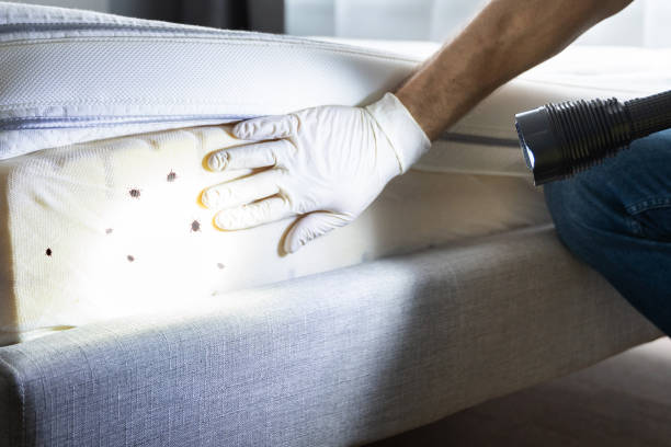 Best Commercial Pest Control Services  in Battle Creek, MI