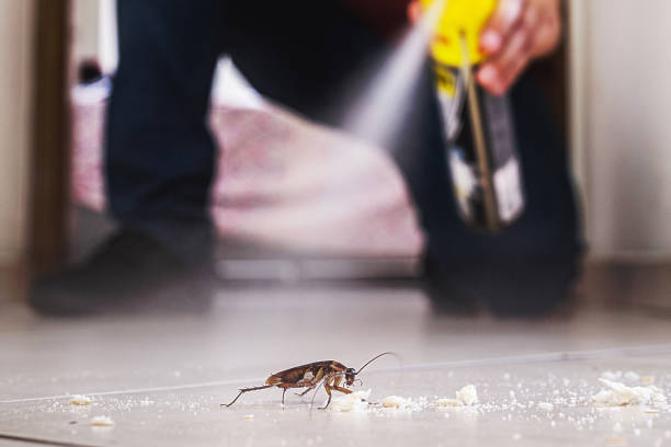 Best Affordable Pest Control Services  in Battle Creek, MI