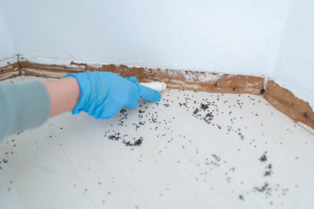Best Emergency Pest Control  in Battle Creek, MI
